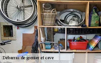 Débarras de grenier et cave  49800