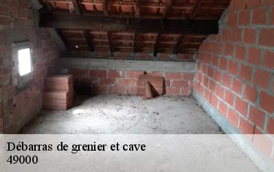 Débarras de grenier et cave  49000