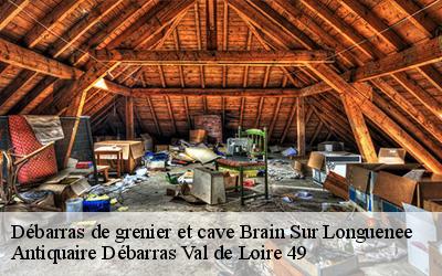 Débarras de grenier et cave  49220