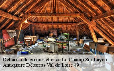 Débarras de grenier et cave  49380