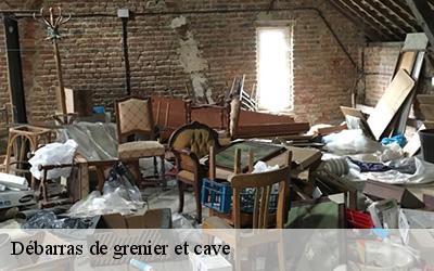 Débarras de grenier et cave 49860