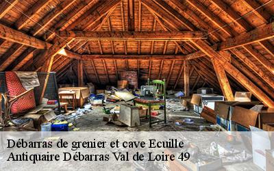 Débarras de grenier et cave  49460