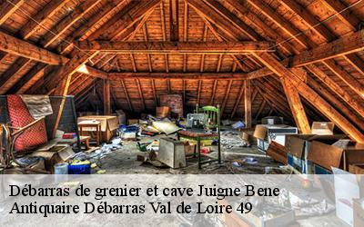 Débarras de grenier et cave  49460