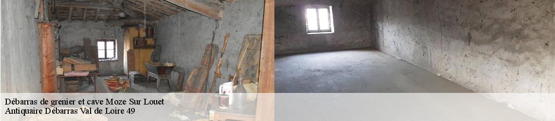 Débarras de grenier et cave  moze-sur-louet-49610 Antiquaire Débarras Val de Loire 49