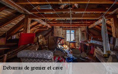 Débarras de grenier et cave  49350