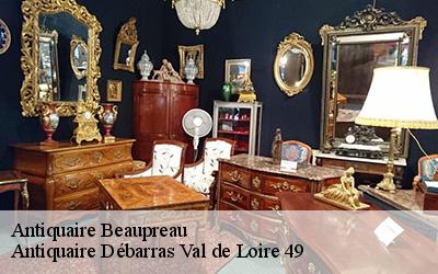 Antiquaire  49600