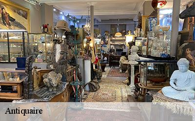 Antiquaire  49150