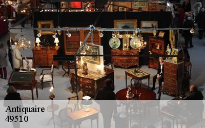 Antiquaire  49510