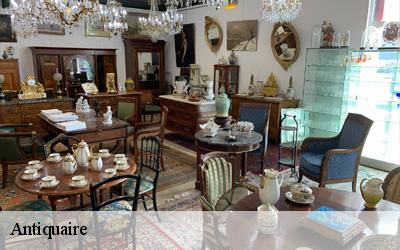 Antiquaire  49510
