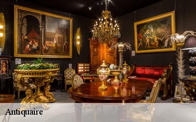 Antiquaire  49330