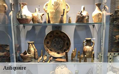 Antiquaire  49125