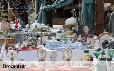 Brocanteur  49260