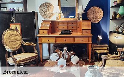Brocanteur  49150