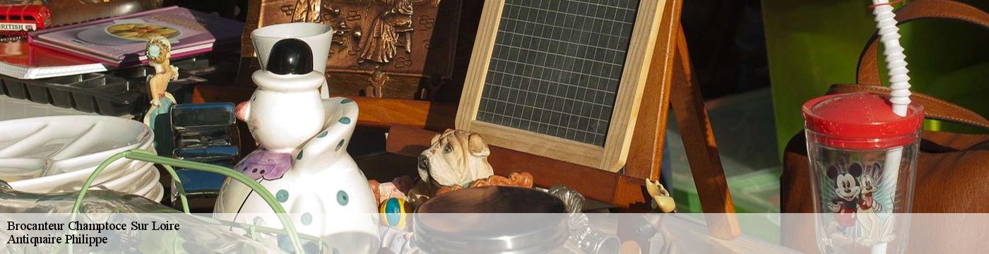 Brocanteur  champtoce-sur-loire-49123 Antiquaire Philippe
