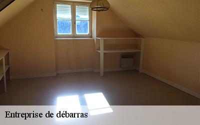 Entreprise de débarras  49670