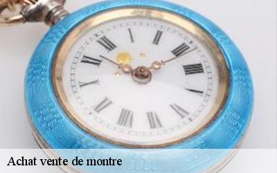 Achat vente de montre  49112